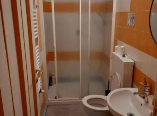 un bagno con doccia, WC e lavandino di pisa train station hostel a Pisa