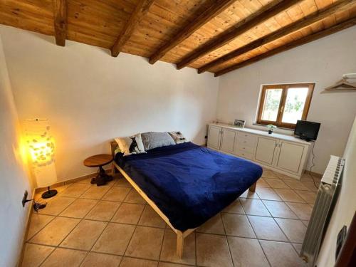 にあるRelax private villa and car park lago nemiのベッドルーム1室(青いベッド1台付)