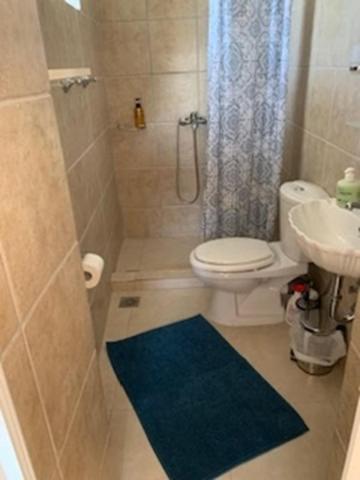a bathroom with a toilet and a shower with a blue rug at Vero's Seaview Studio in Lefki