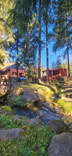 Phong cảnh thiên nhiên gần nhà nghỉ dưỡng