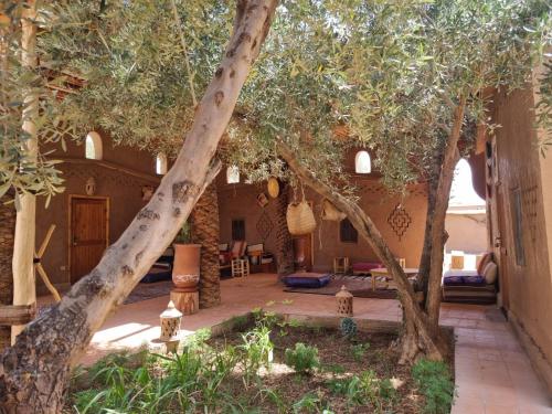 Eco-Ferme Tamalait Skoura