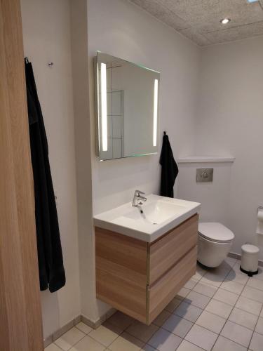 a bathroom with a sink and a toilet at Apartment in green area in Grindsted