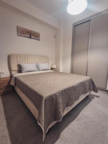 The Leonidas Suite