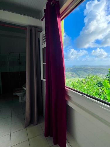 Naturlandskabet i nærheden af lejligheden