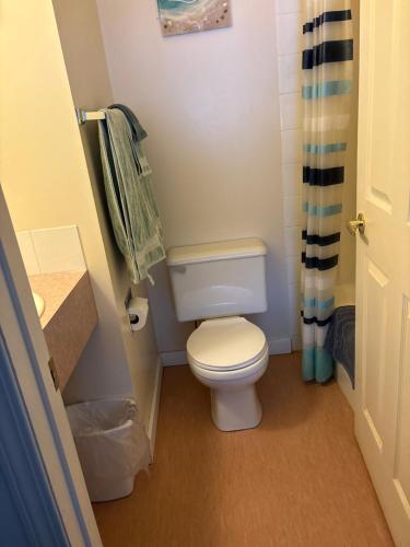 Un baño de Johnsons Crossing Lodge