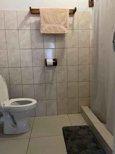 a bathroom with a toilet and a shower at Edsam Lodge in Divundu