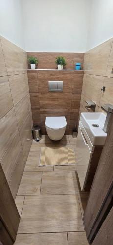 a bathroom with a toilet and a sink at Pension Martinské údolí in Kořenov
