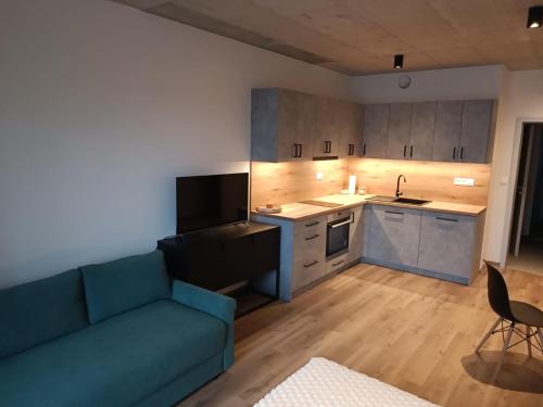 Kuhinja ili čajna kuhinja u objektu Subway Apartment