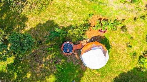 Κήπος έξω από το Selva Partners Chachagua