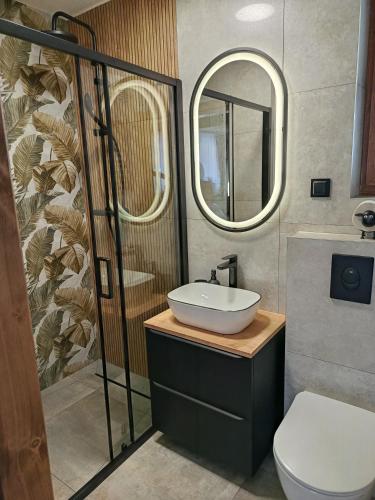 a bathroom with a sink and a toilet and a mirror at Domek u Jurgowiana in Jurgów