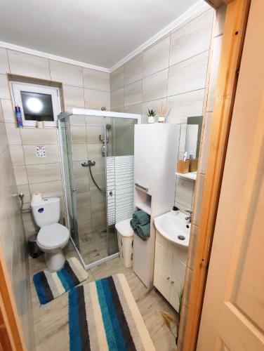 a bathroom with a shower and a toilet and a sink at Forest Cottage 2024 in Lábatlan