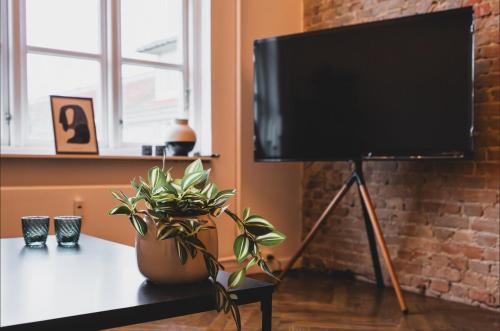 a tv on a stand next to a table with a plant at Luxury apartment with sea view - 3 rooms in Hillerød