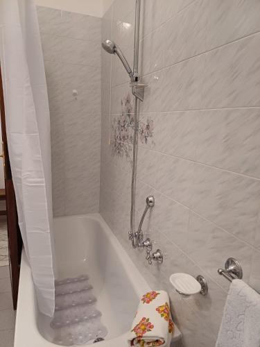 a bathroom with a bath tub with a shower at Casa Le Camelie in Stiava
