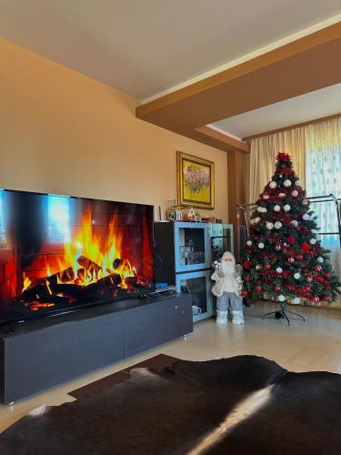 a living room with a christmas tree and a fireplace at Ava Apartment Pamporovo in Pamporovo