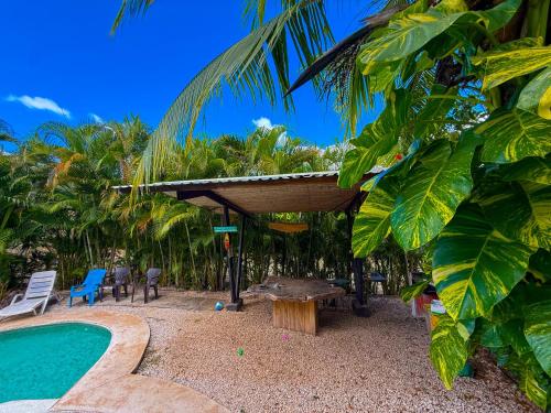 Πισίνα στο ή κοντά στο Selva Partners Tamarindo