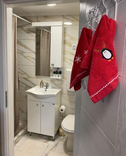 a bathroom with red towels hanging on the door at Dunavski vidikovac in Čerević