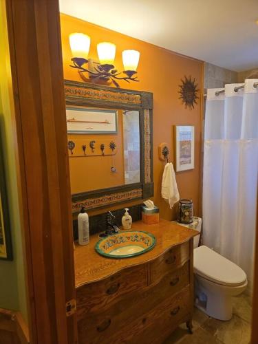 a bathroom with a sink and a toilet and a mirror at Against the Wind Vacation Rental LLC in Lake Leelanau