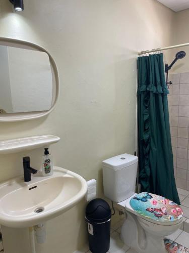un bagno con lavandino, WC e specchio di House on the mountain a Willemstad