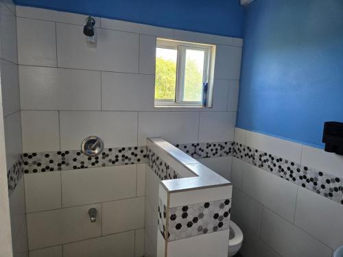 a bathroom with a sink and a toilet at Cozy Hill Vista in Micoud