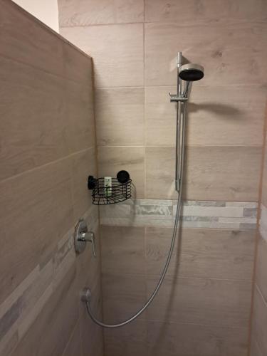 a shower with a hose in a bathroom at Wolfs Studio in Blumberg