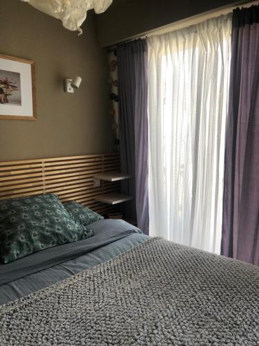 Port of Nice Terrace Apartment