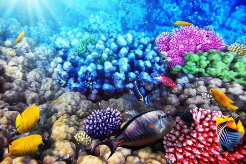 Animales en el apartahotel o alrededores