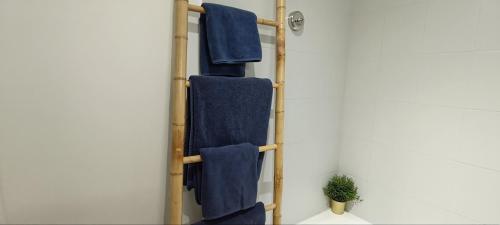a towel rack with blue towels and a plant at Appartement centre Orsay in Orsay