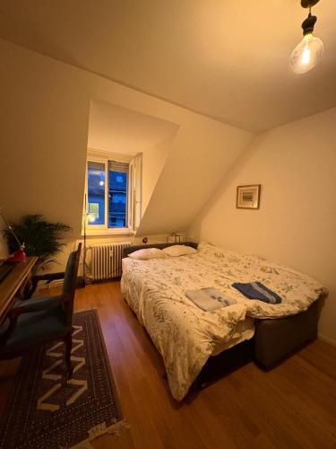 a bedroom with a bed and a desk and a window at Cosy room in attic flat in the center of Zurich in Zürich