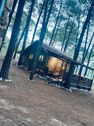 Cabaña Ananda Río Mundo