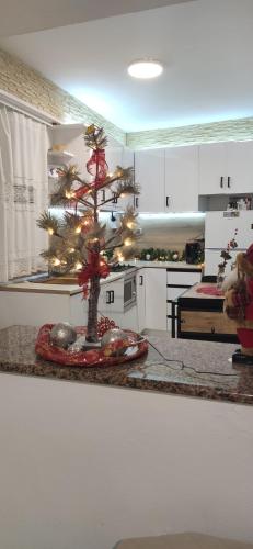 Kuchyň nebo kuchyňský kout v ubytování Chrysanty's tea house