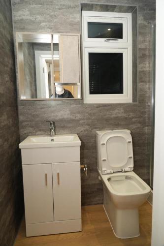 a bathroom with a toilet and a sink and a mirror at Luxury Rooms Near Heathrow in Cranford