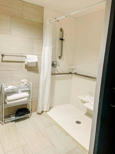 a white bathroom with a shower and a toilet at Unicoi State Park & Lodge in Helen