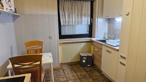 een kleine keuken met een wastafel en een raam bij Apartment Wildgrund in Siegen