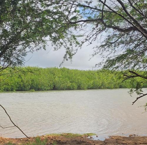 Φυσικό τοπίο κοντά σε αυτό το ξενοδοχείο