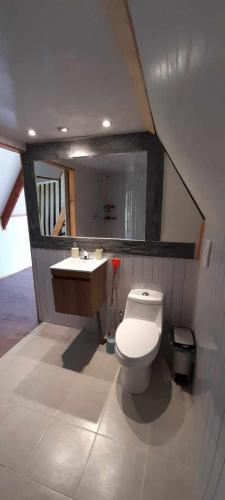 Et badeværelse på The River lodge Valdivia