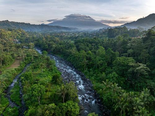 Samanvaya - Adults Only — Bird's eye view