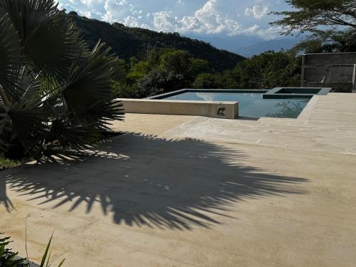 een schaduw van een palmboom naast een zwembad bij Luxury estate in San Jerónimo with infinity pool in San Jerónimo