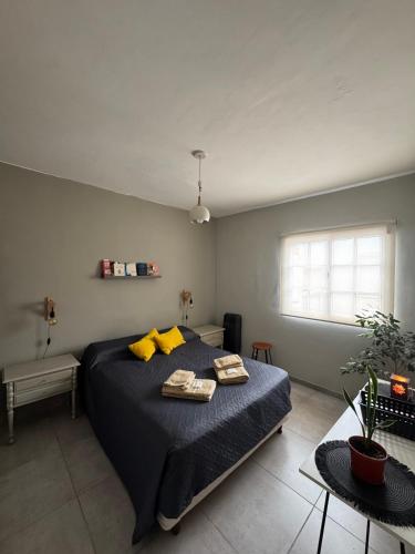 a bedroom with a large bed with yellow pillows at Casa Serena Rio in Viedma