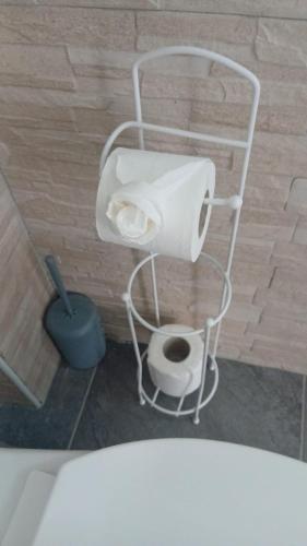a bathroom with a white toilet in a room at Bungalow AN KAN LA in Capesterre