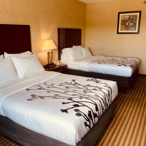 a hotel room with two beds with white sheets at Lynchburg Grand Estate by IHG in Lynchburg