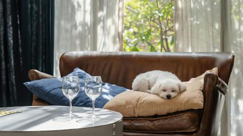 Afbeelding uit fotogalerij van Yeongheungdo BoutiquePasseComposePension in Incheon