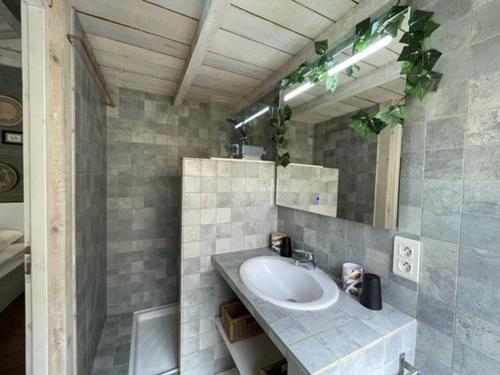 Phòng tắm tại Villa à Soustons - 8 pers, animaux admis - FR-1-857-59