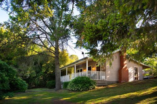 a small white house with a tree in the yard at All Views in Daylesford