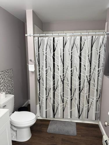 a bathroom with a shower curtain with a toilet at Basement room with its own private bathroom in Providence