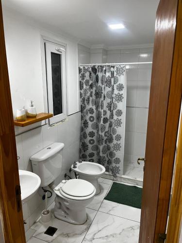 een witte badkamer met toilet en douche bij Líbano flat in El Bolsón