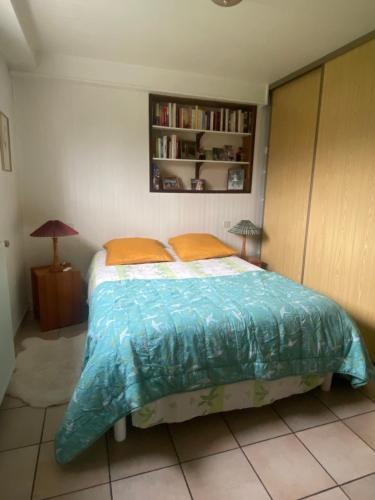 a bedroom with a bed and a book shelf at Chez Laurette et Louis in Ugine