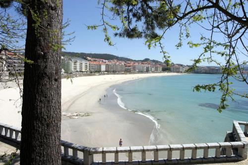 a view of a beach with a tree and a fence at Apartamentos Esperanza del Mar in Portonovo