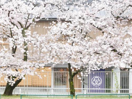 Fotografie z fotogalerie ubytování Hostel Mitsuwaya Osaka v Osace