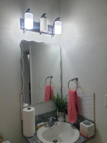 un baño con lavabo y espejo en Haven of Rest Suite, en Nevis