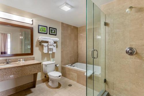 Koupelna v ubytování Comfort Suites Southaven - Memphis South